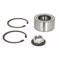 R14179 R15159 R155119 Auto Wheel Hub Bearing